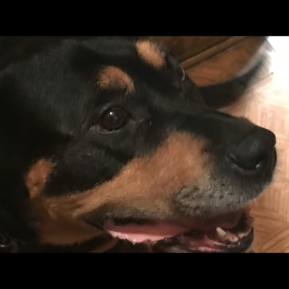 Meet your Posher, Deborah